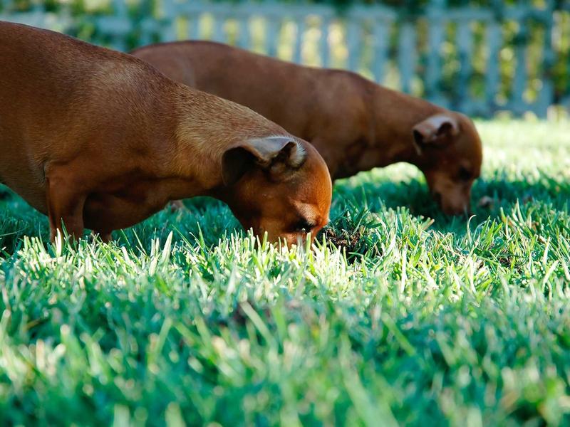 sudoku progress save