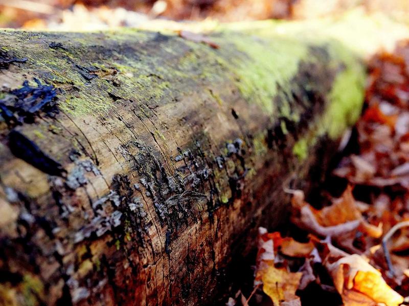 killer sudoku screenshot 6